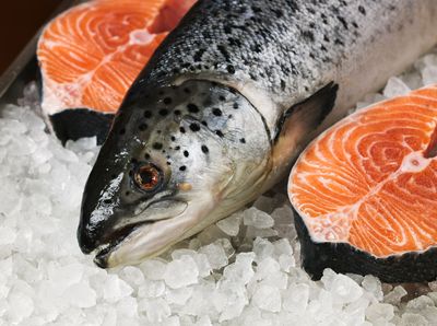 三文魚類 Salmon Fish
