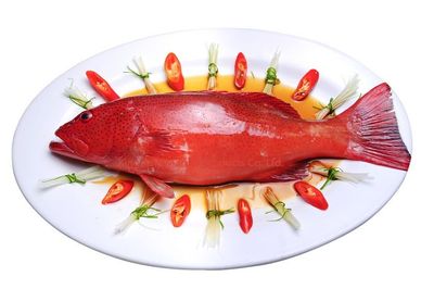 菲律賓原條星斑 Philippine Grouper (每磅)