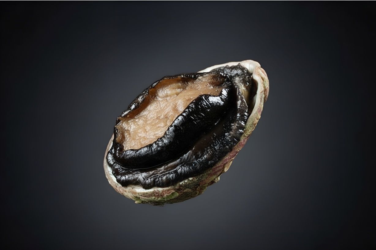 澳洲黑邊鮑魚 2-3頭 Australian Black-lip Abalone (每磅)