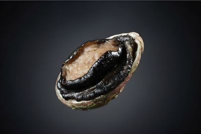 澳洲黑邊鮑魚 2-3頭 Australian Black-lip Abalone (每磅)