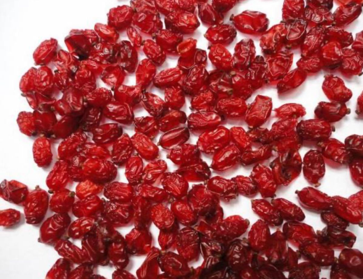 BARBERRY