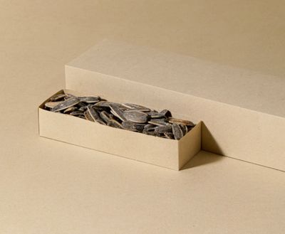Salted Sunflower Seeds