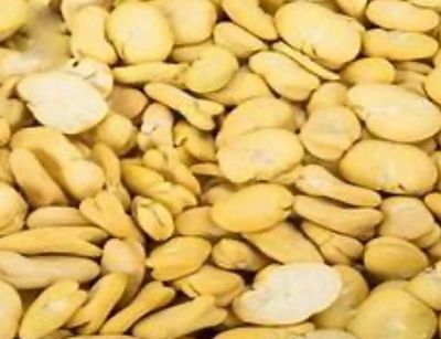 Yellow fava beans