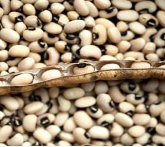 Black-Eyed Peas
