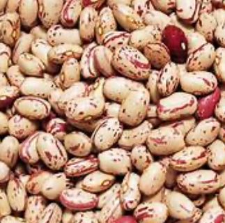 Pinto Beans