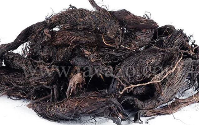 Valerian Root