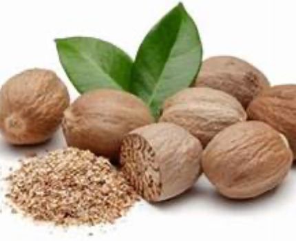 Nutmeg