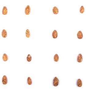 Salted Jabani Seeds