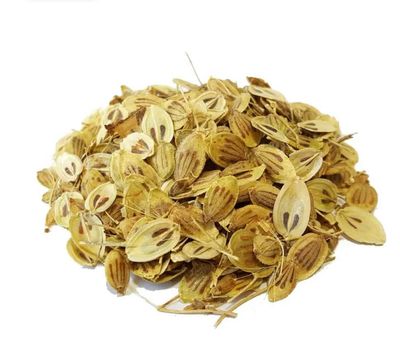 DRIED ANGELICA SEEDS (GOLPAR)