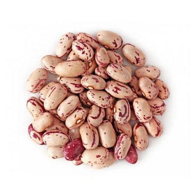 Pinto Beans
