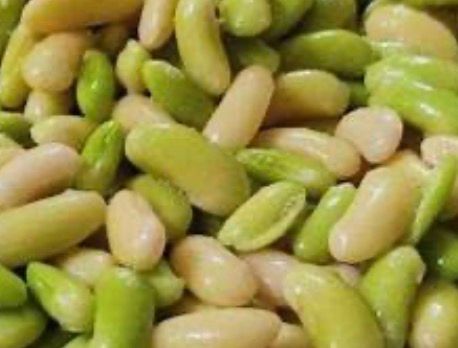 RASHTI FEVA BEANS (BAGHALA GHATOGH)