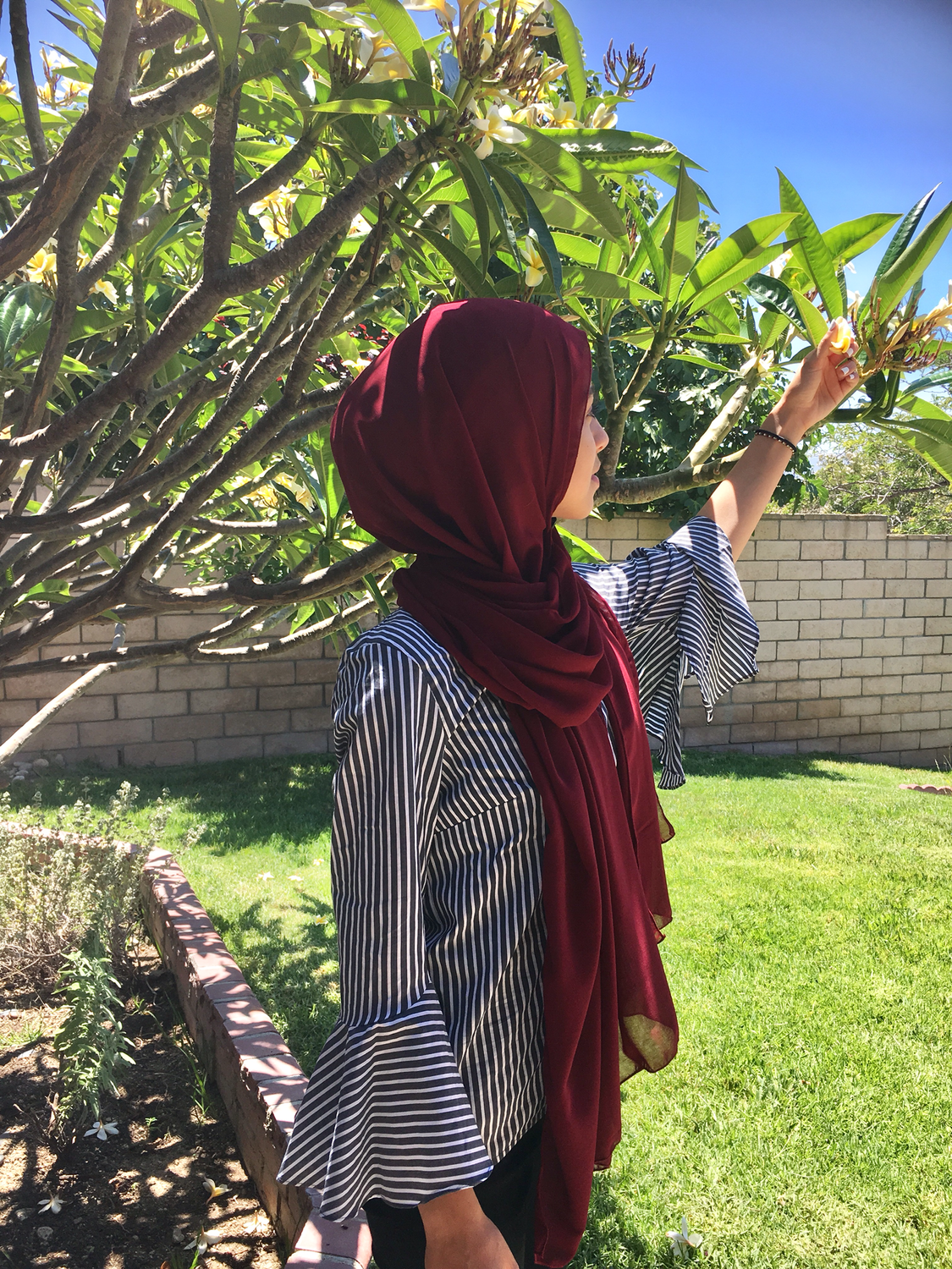 Burgundy