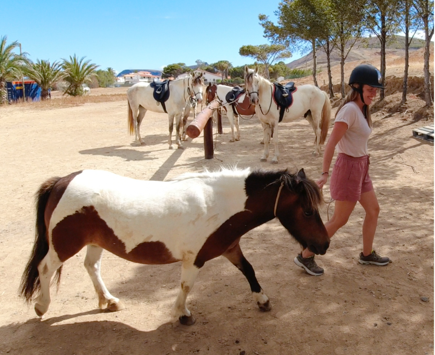 Equestrian Baptism (Must Pay on Site)