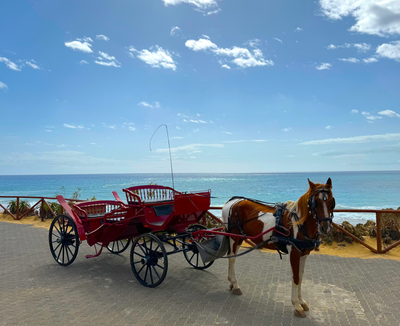 Carriage Ride