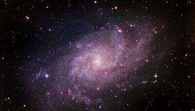 Some of us are terrestrial.  Some originate from other parts of this galaxy.  Some from nearby galaxies (Pinwheel Galaxy M33)