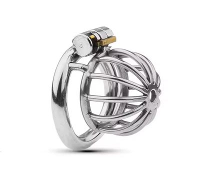 Chastity cage
