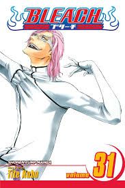 Bleach V 31