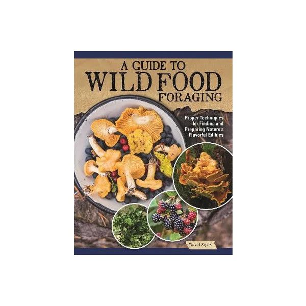 A guide to Wild food Foraging