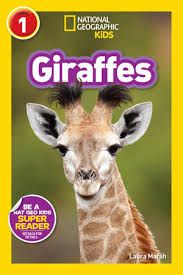 NGR Level 1 Giraffes