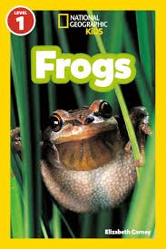 NGR level 1:  FROGS