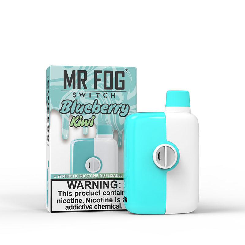 MR FOG SWITCH [FEDERAL] - Blueberry Kiwi, photo 2 of 2