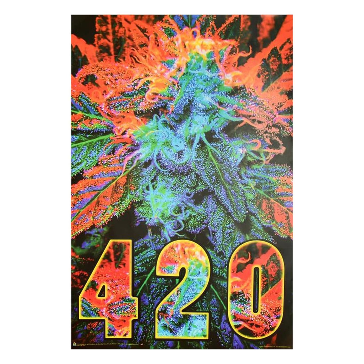 Black Light Poster, photo 12 of 27