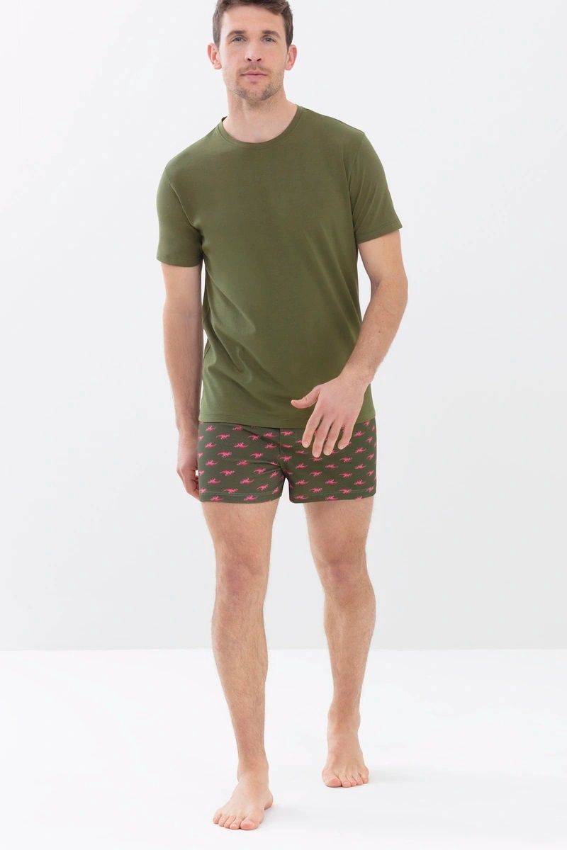 T-shirt ronde hals Relax 36060 - safari green