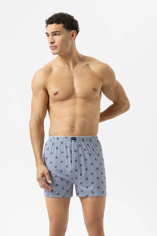 Boxershort Stripes with Small Pattern 2120144 - galactic blue