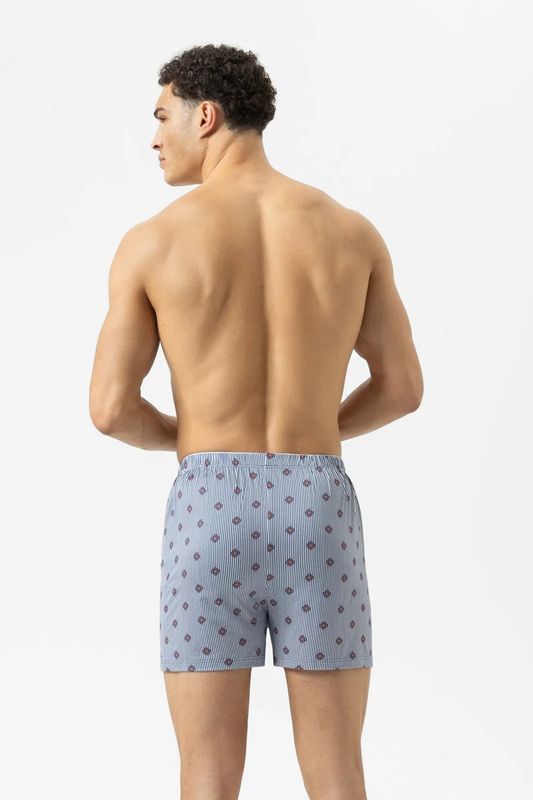 Boxershort Stripes with Small Pattern 2120144 - galactic blue