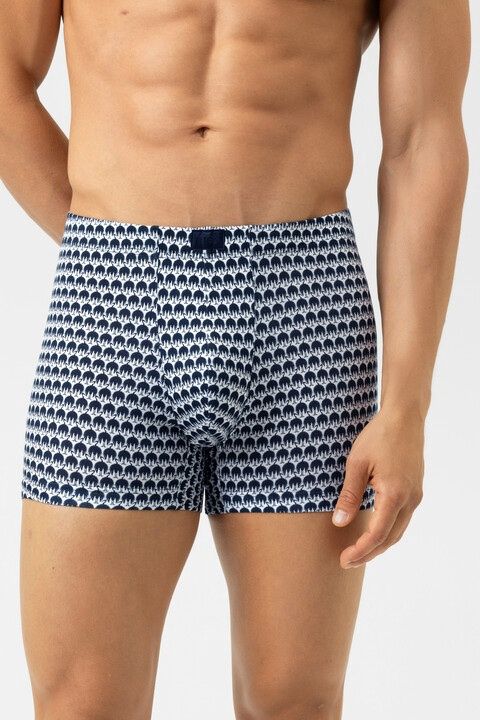 Short Crane Swarm 2120167 - marine