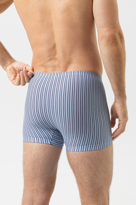 Short Raspberry Stripes  2120200 - Dream Blue