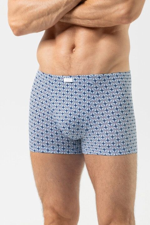 Short Summer Flower 2120184 - Hague Blue