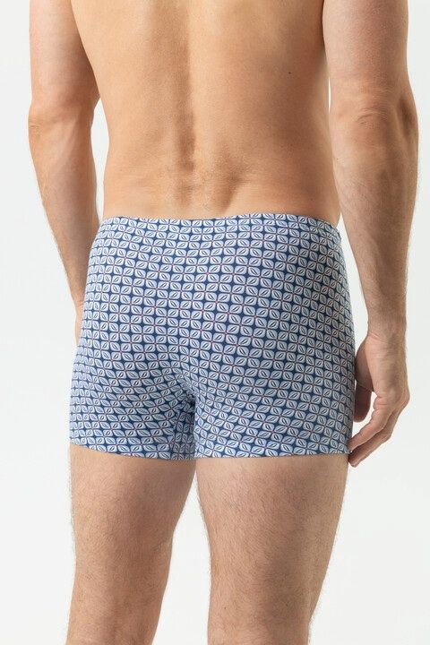 Short Summer Flower 2120184 - Hague Blue