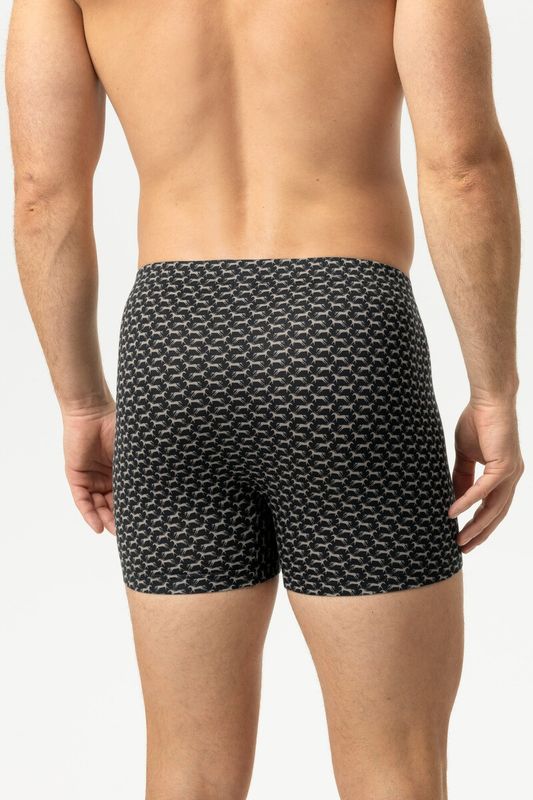 Short Gallop 2120265 - zwart