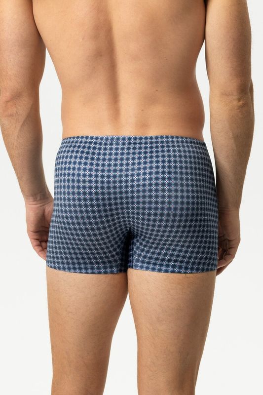 Short 2120284 - alaskan blue