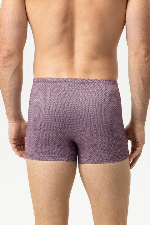 Short Classic Dots 2120278 - oxblood