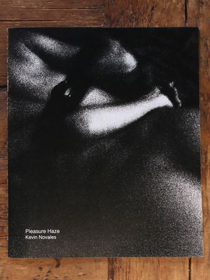Pleasure Haze