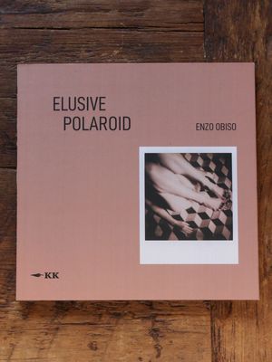 Elusive Polaroid