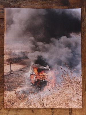 Fire Barked at Eternity