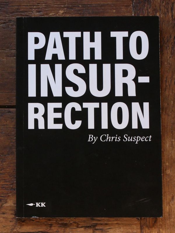 Path to Insurrection