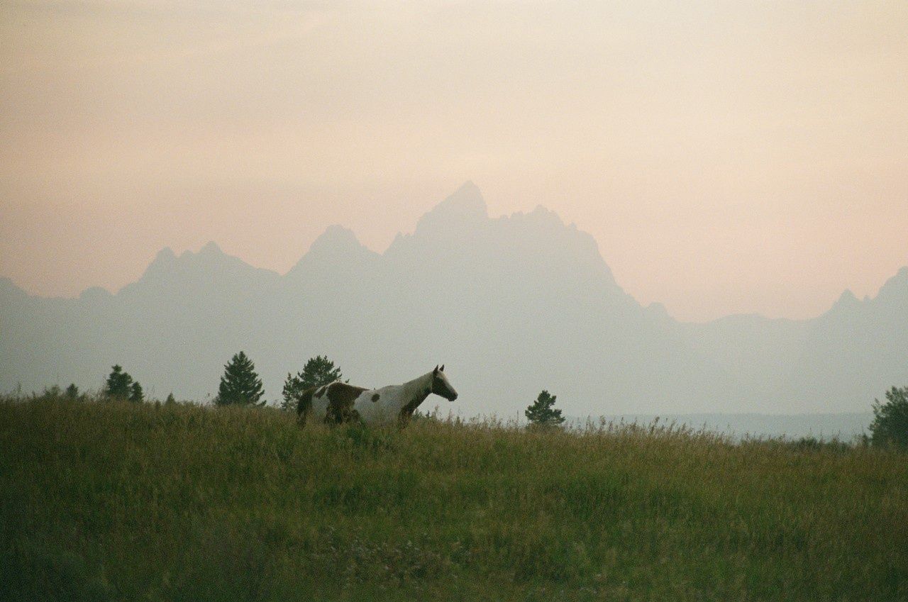 tetons