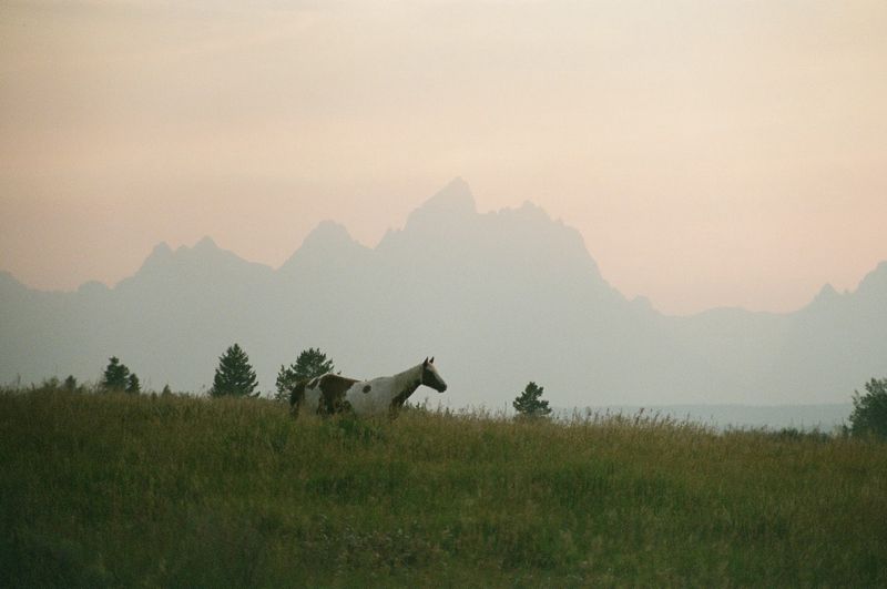 tetons