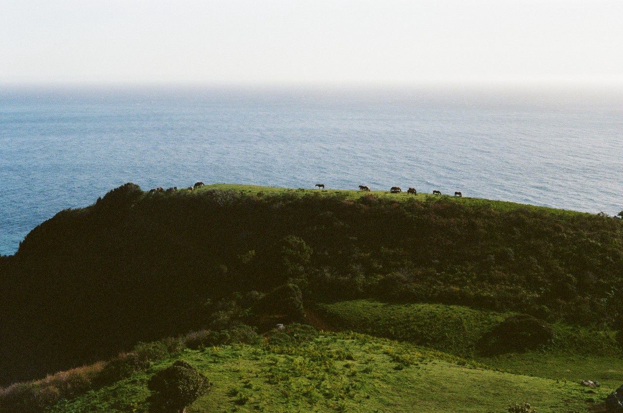 sea searching