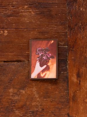 Contact Sheet Notes 6