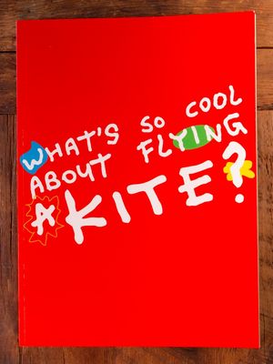 What's So Cool About Flying a Kite?