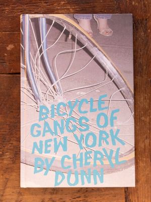 Bicycle Gangs of New York