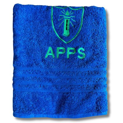 Swimming Towel
