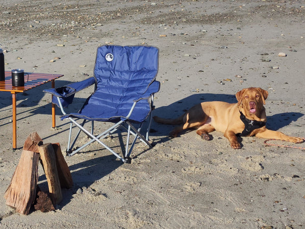 Carpe Event Chair