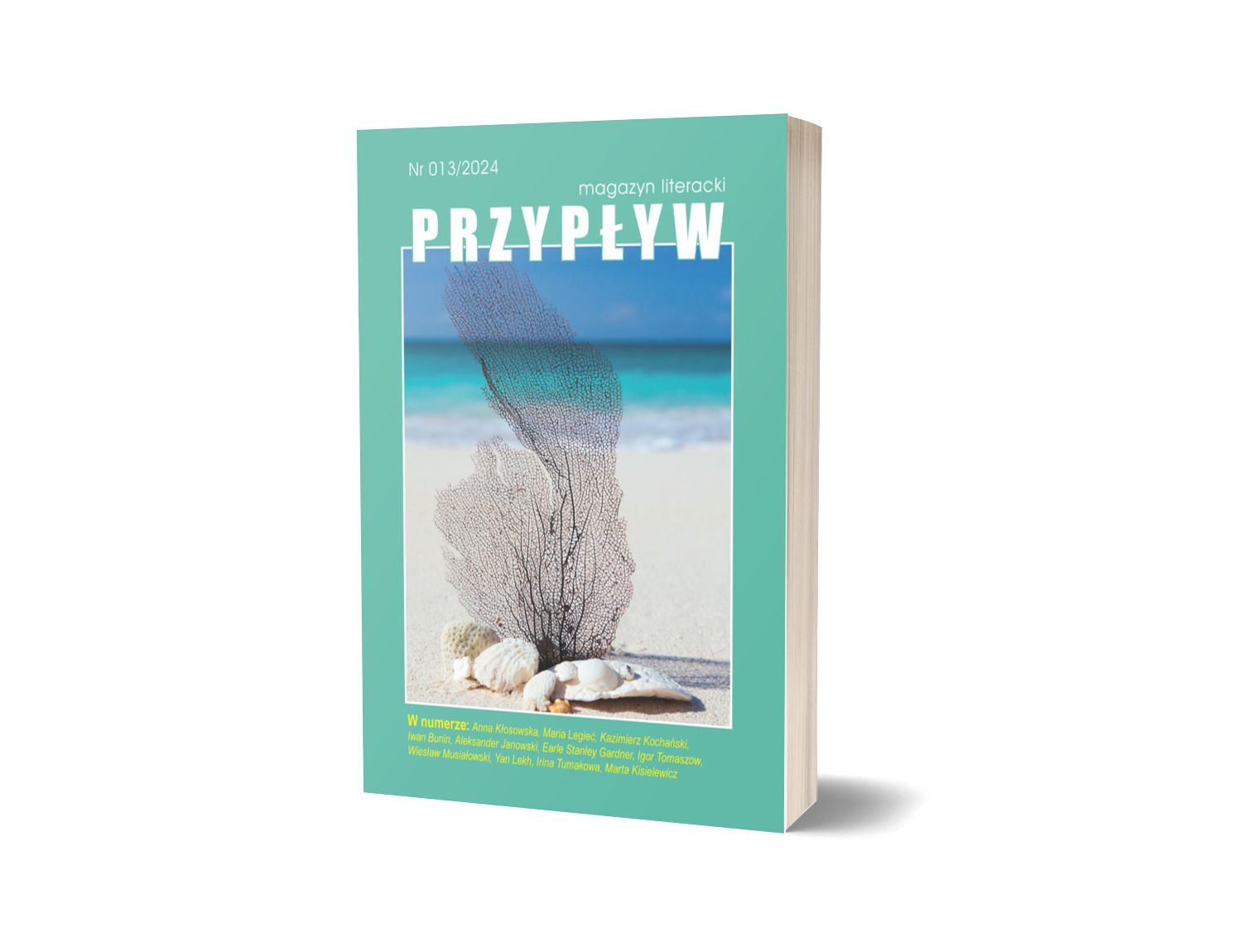 Przypływ nr 13
