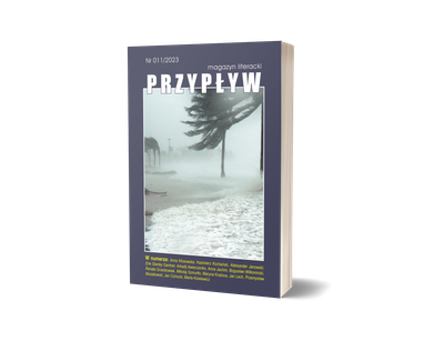 Przypływ nr 11